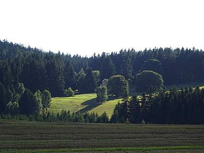 svetlo-v-obrazech-svetlo-v-krajine-01-